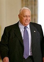 Ariel Sharon Quotes