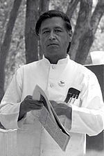 Cesar Chavez Quotes