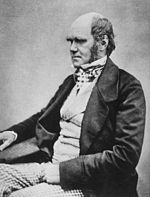 Charles Darwin Quotes