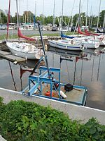 Charlotte Whitton Quotes