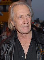 David Carradine Quotes