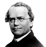Gregor Mendel Quotes
