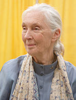 Jane Goodall Quotes