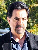 Joe Mantegna Quotes