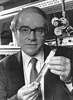 Martin Fleischmann Quotes