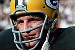 Ray Nitschke Quotes