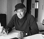 Stephen Vizinczey Quotes