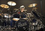 Stewart Copeland Quotes