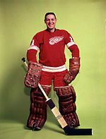 Terry Sawchuk Quotes