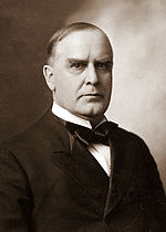 William McKinley Quotes